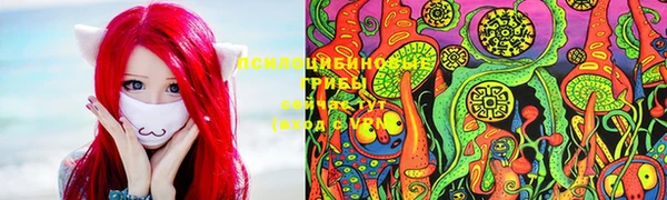 марки nbome Беломорск
