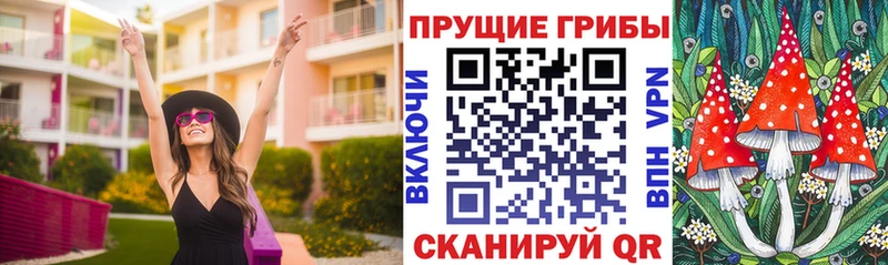 Галлюциногенные грибы Cubensis Кушва